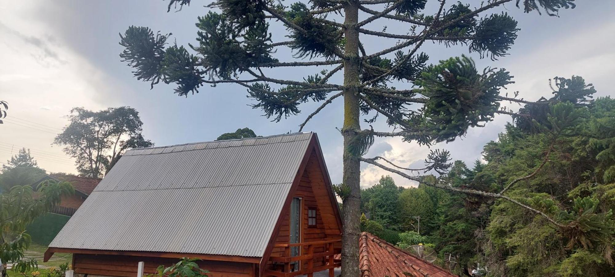 Hotel Chale Com Hidromassagem Da Vick à Campos do Jordão Extérieur photo